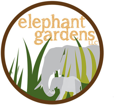 Community Empowerment Through Self-mastery - Illustration Clipart (750x446), Png Download