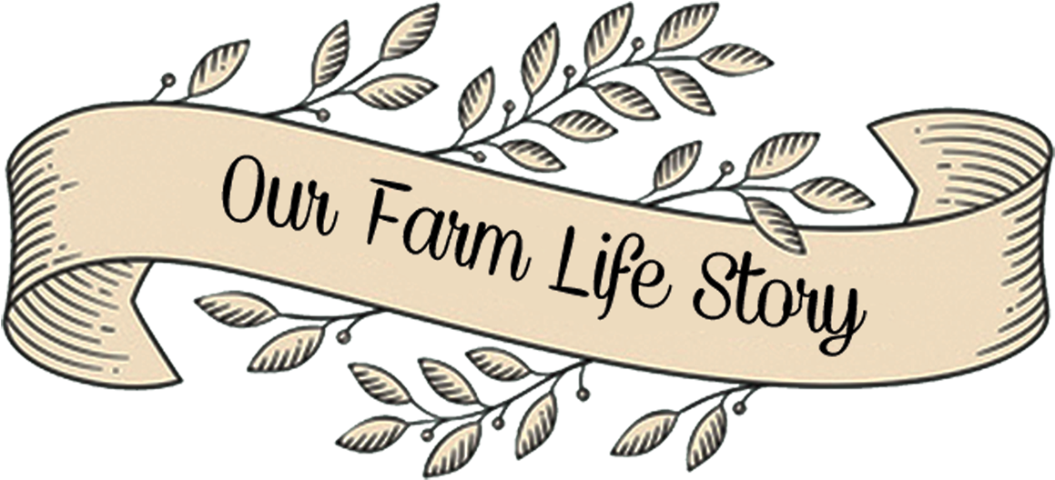 Label Clipart (1200x565), Png Download