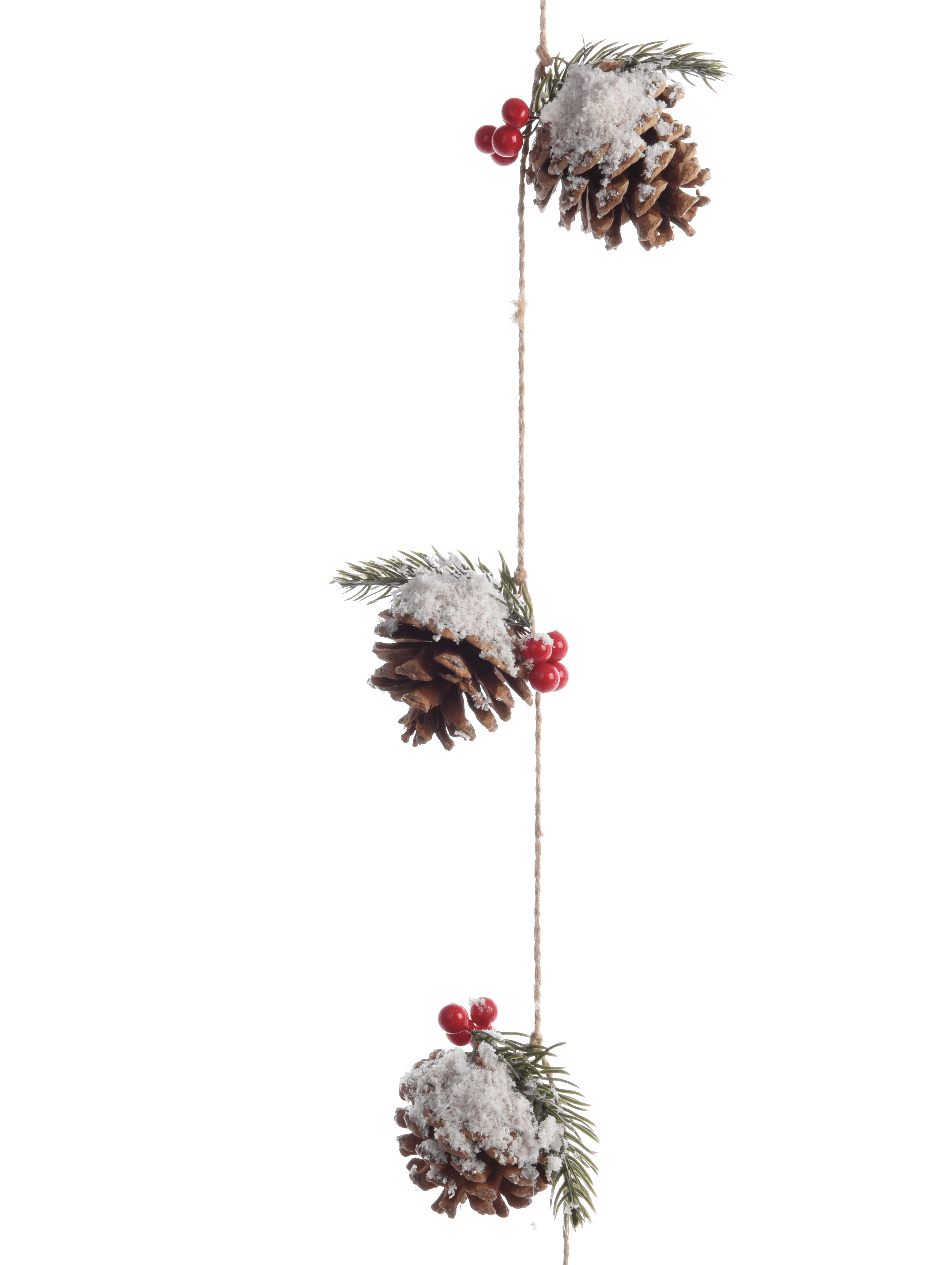 Käthe Wohlfahrt Online Shop Zapfen Girlande Mit Beeren - Oregon Pine Clipart (4080x4080), Png Download