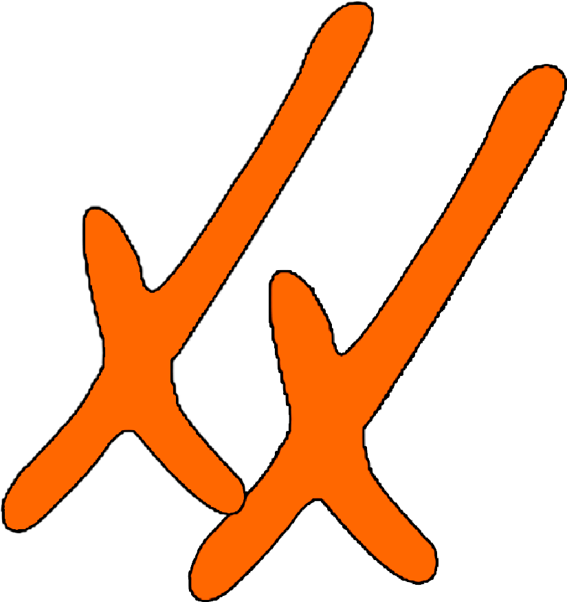 Papadoxx Fotografie Clipart (1000x1000), Png Download