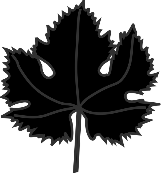 Image Freeuse Clipart Vines Download Wallpaper Full - National Beta Club - Png Download (557x600), Png Download