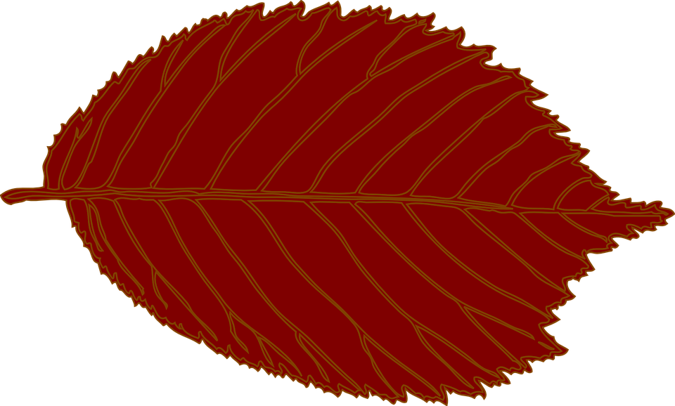Brown Leaf Clip Art , Png Download Transparent Png (960x578), Png Download