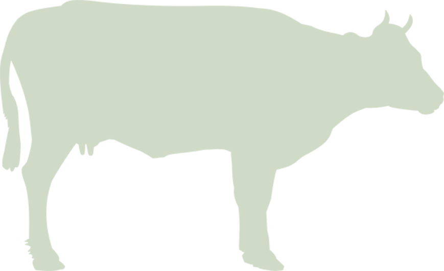 Siğircilik - Cattle Clipart (869x531), Png Download