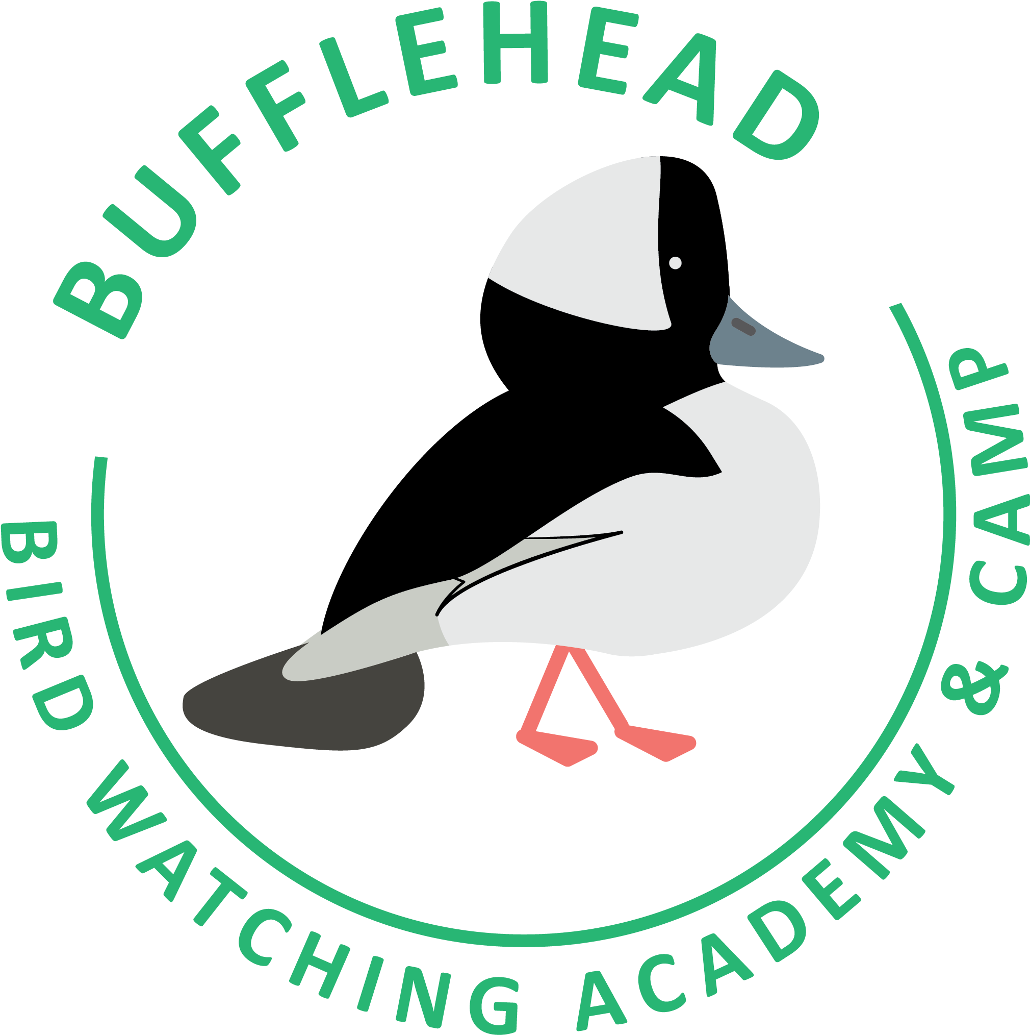 Bufflehead Clipart (2693x2622), Png Download