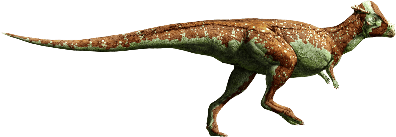 Jurassic World Pachycephalosaurus Clipart (1288x480), Png Download