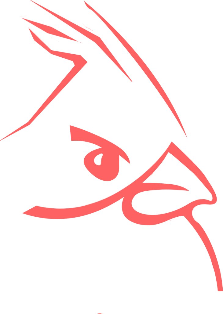 Bvd Collector For Microsoft Sql Database Clipart (730x1029), Png Download