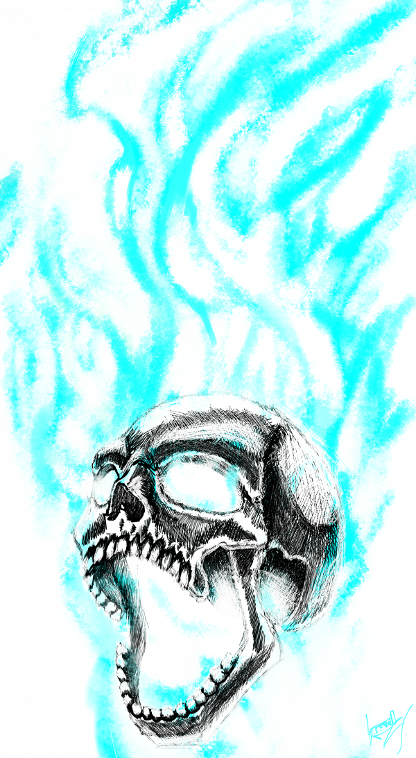 Picture - Illustration Clipart (600x1092), Png Download