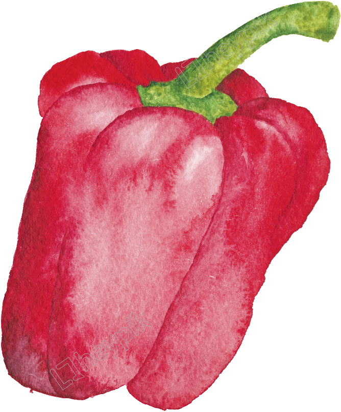Drawing Vegetables Bell Pepper - Red Bell Pepper Clipart (1024x1024), Png Download