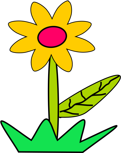 Clip Art - Sunflower - Png Download (666x666), Png Download