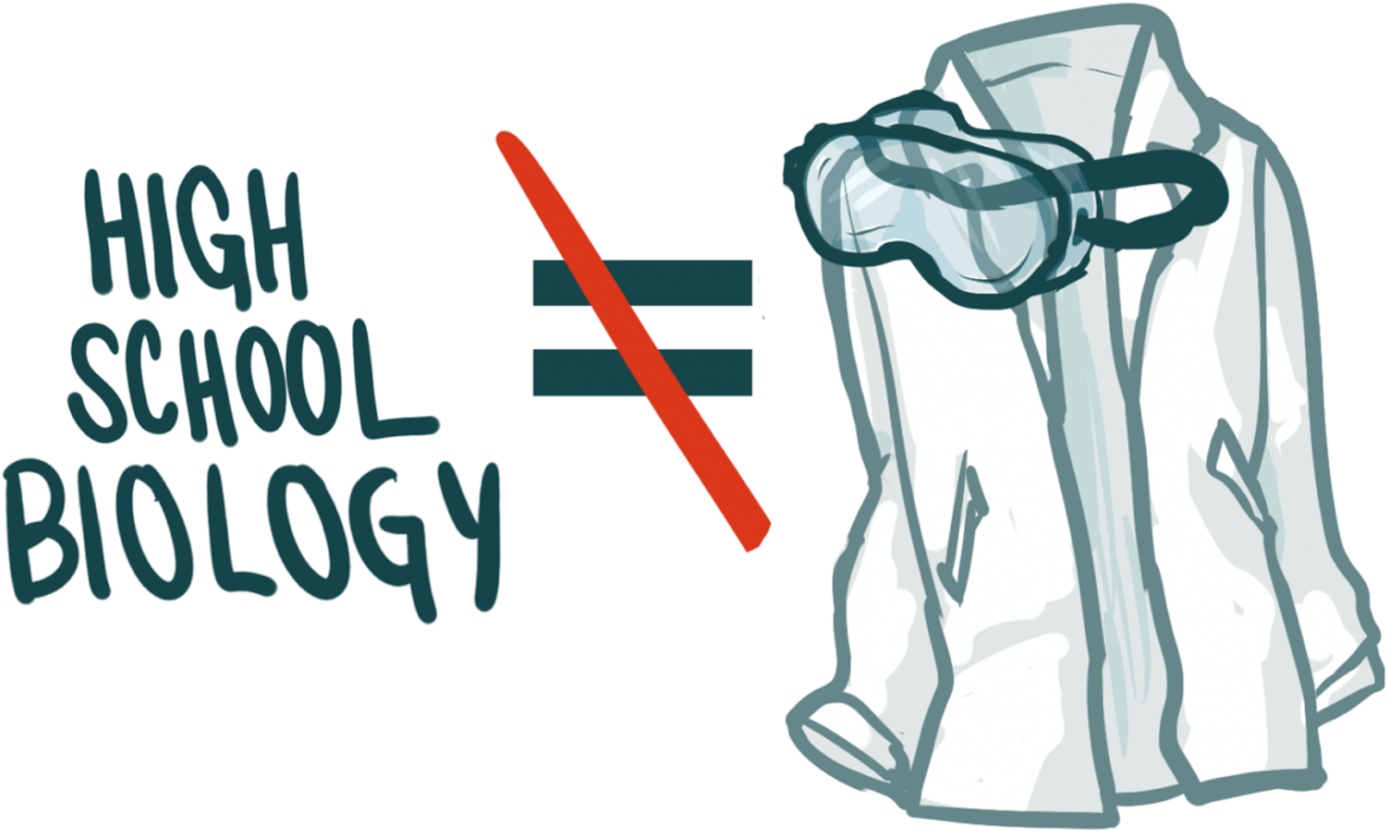 Schools Are Not Adequately Preparing Students For Real - Illustration Clipart (1501x946), Png Download