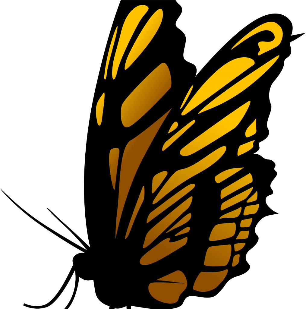 Clip Art - Png Download (1024x1024), Png Download