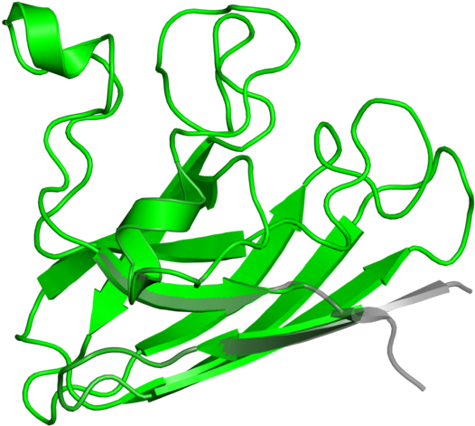 Illustration Clipart (800x800), Png Download