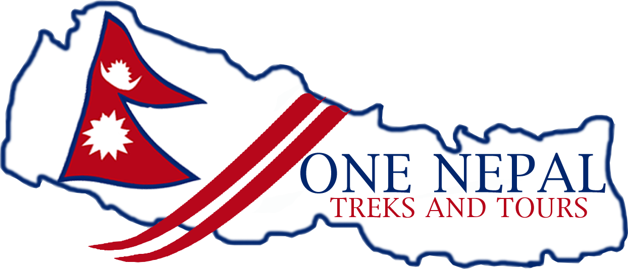 Clip Art - Png Download (1244x534), Png Download