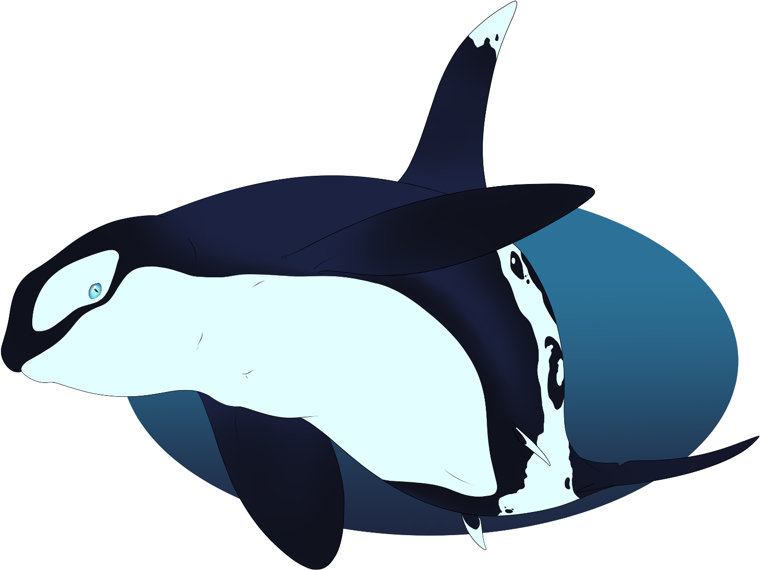 Big Man By Wolf Malfunction - Killer Whale Clipart (1600x1199), Png Download