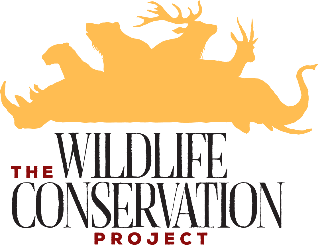 Illustration Clipart (1116x858), Png Download