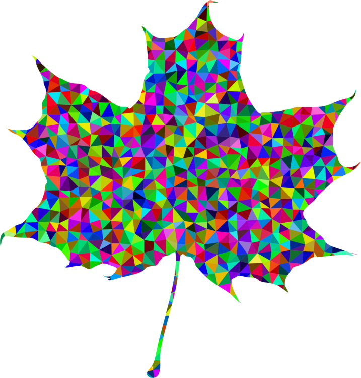 Maple Leaf Sugar Maple Computer Icons Japanese Maple - Clipart Pictures Maple Leaf - Png Download (717x750), Png Download