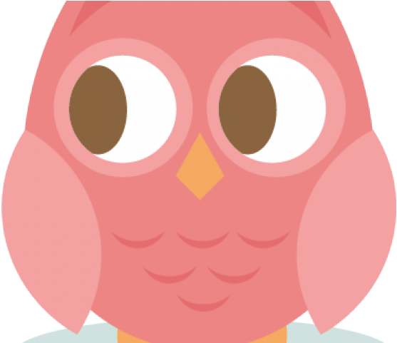Cute Owl Clipart - Owl - Png Download (640x480), Png Download