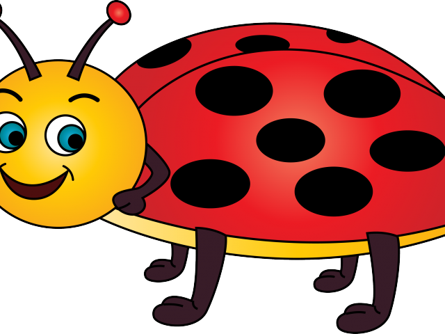 Ladybug Clipart Yellow Ladybug - Ladybird Cartoon - Png Download (640x480), Png Download