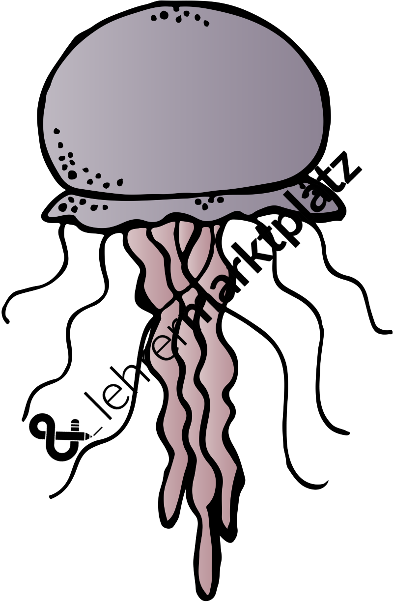 Jellyfish Clipart Melonheadz - Clip Art - Png Download (800x1225), Png Download