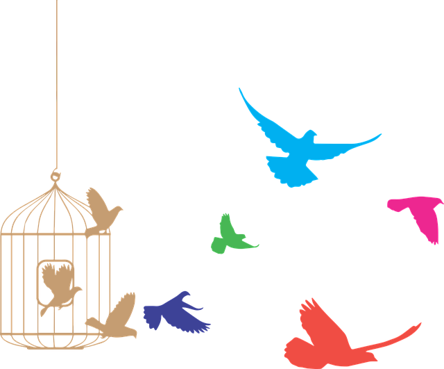 Enter Title - Birds Out Of A Cage Clipart (640x531), Png Download
