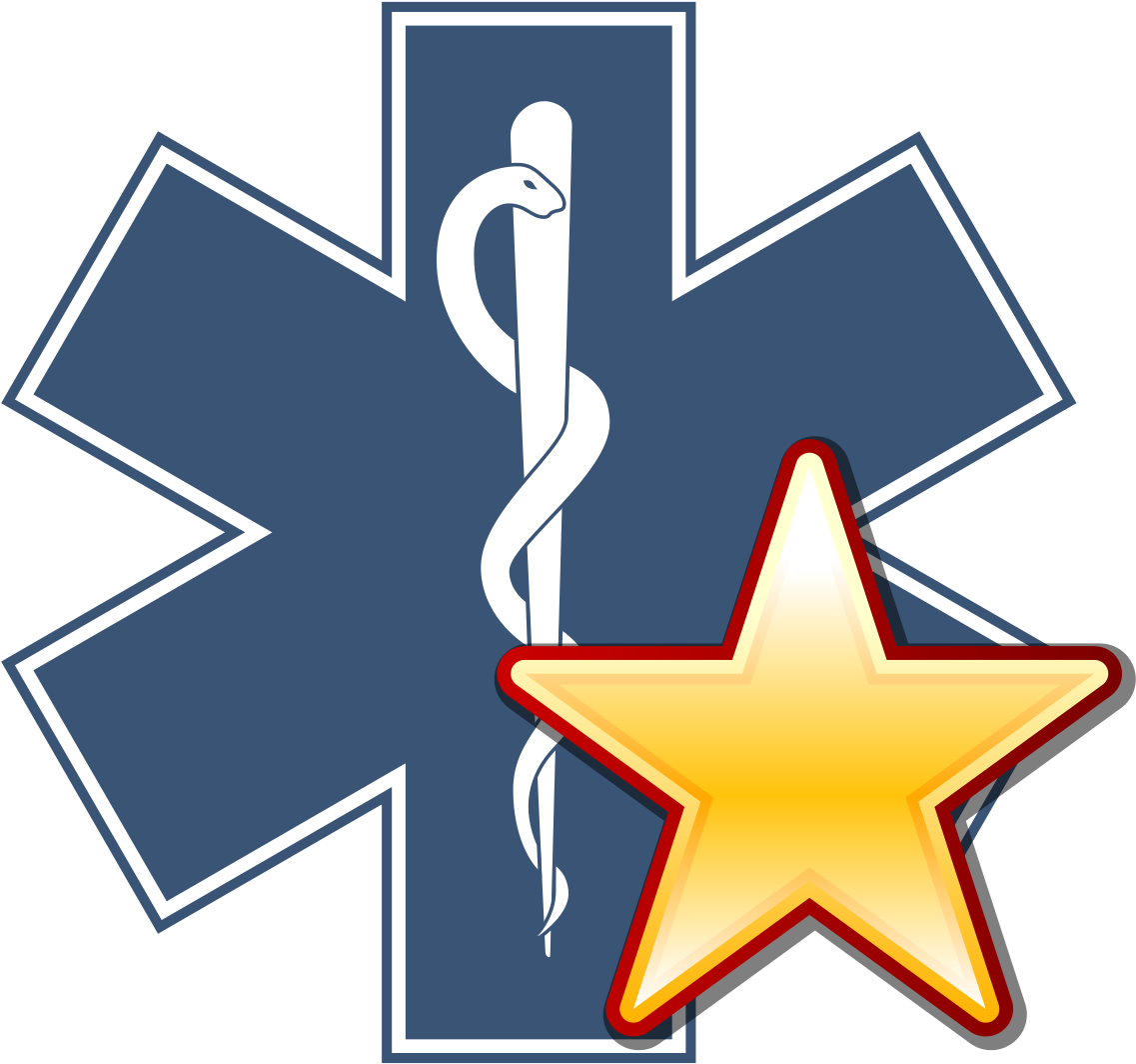 Image-star Of Life With A Gold Star - Star Of Life Design Clipart (819x768), Png Download