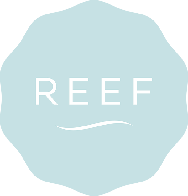 Image - Reef Clipart (600x623), Png Download