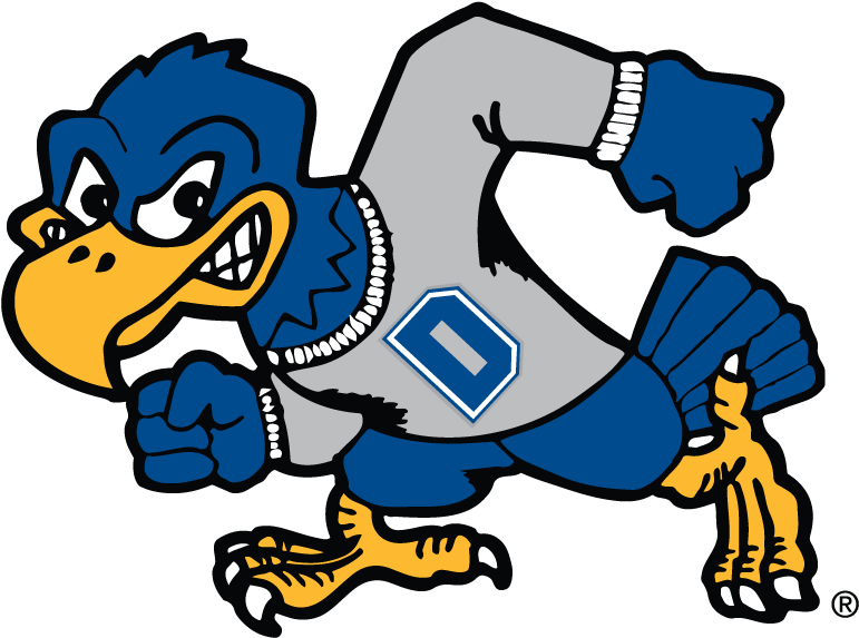 Buster - Dickinson State University Football Logo Clipart (792x612), Png Download