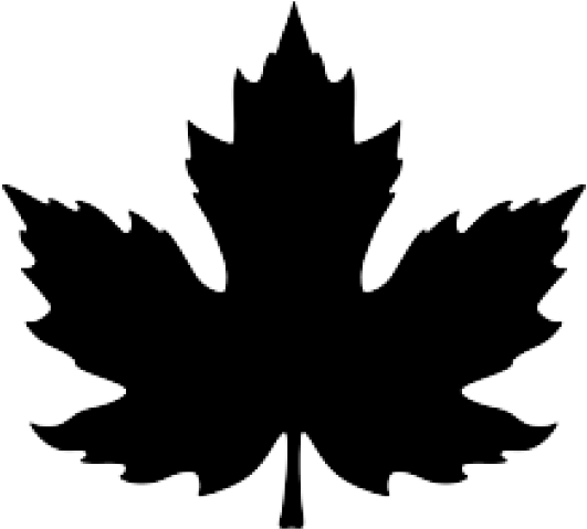 Maple Leaf Clipart November Leaves - Red Maple Leaf Drawing - Png Download (640x480), Png Download