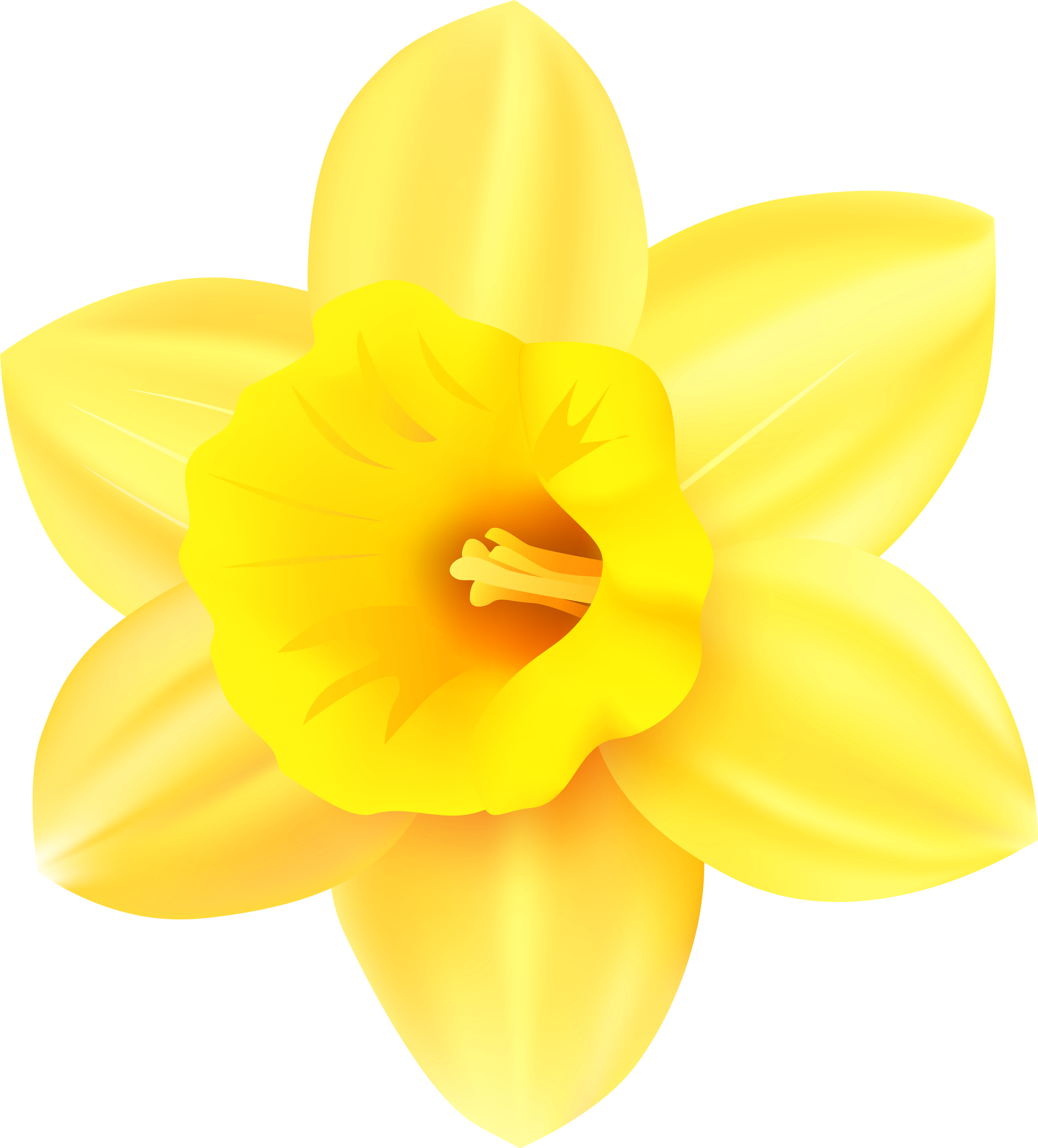 clip art transparent background daffodil png download full size clipart 466834 pinclipart pinclipart