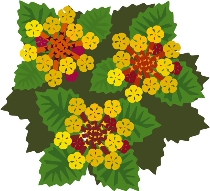 All Photo Png Clipart - Flora Clipart Transparent Png (750x750), Png Download