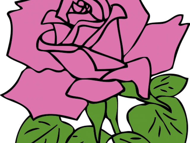 Rose Clip Art - Png Download (640x480), Png Download