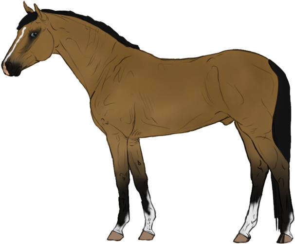 More Like 5 Point Horse Adopt - Animated Horse Transparent Clipart (1024x576), Png Download