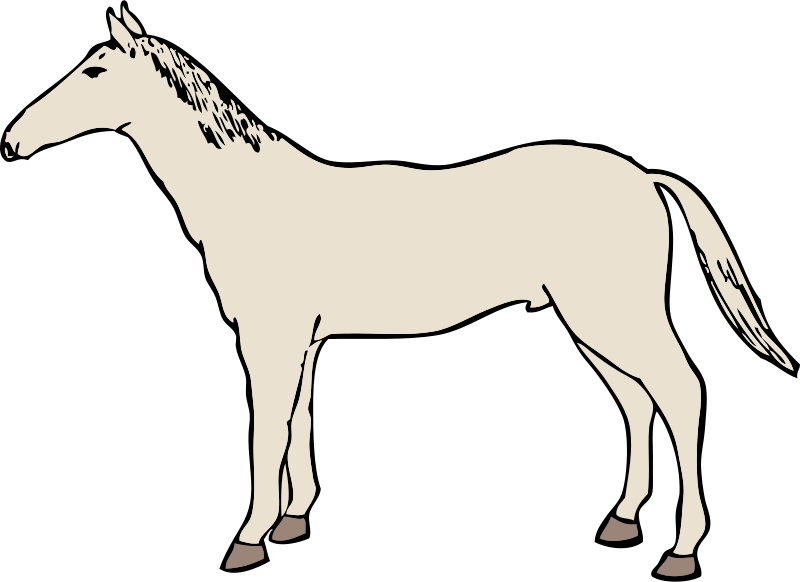 Free Clipart - Horse Drawing Shower Curtain - Png Download (800x582), Png Download