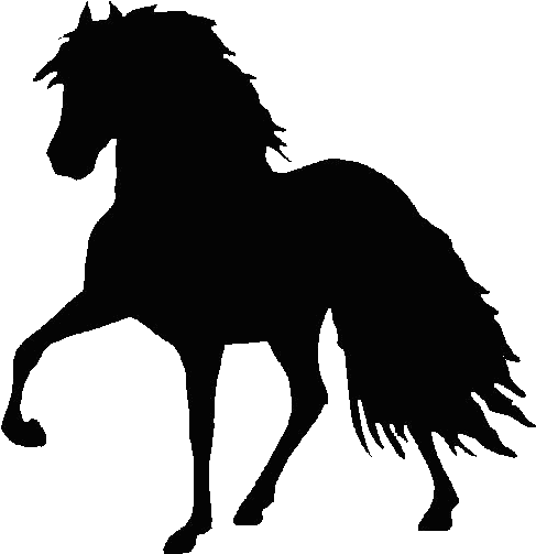 Horses Silhouettes - Transparent Horse Clipart (608x573), Png Download