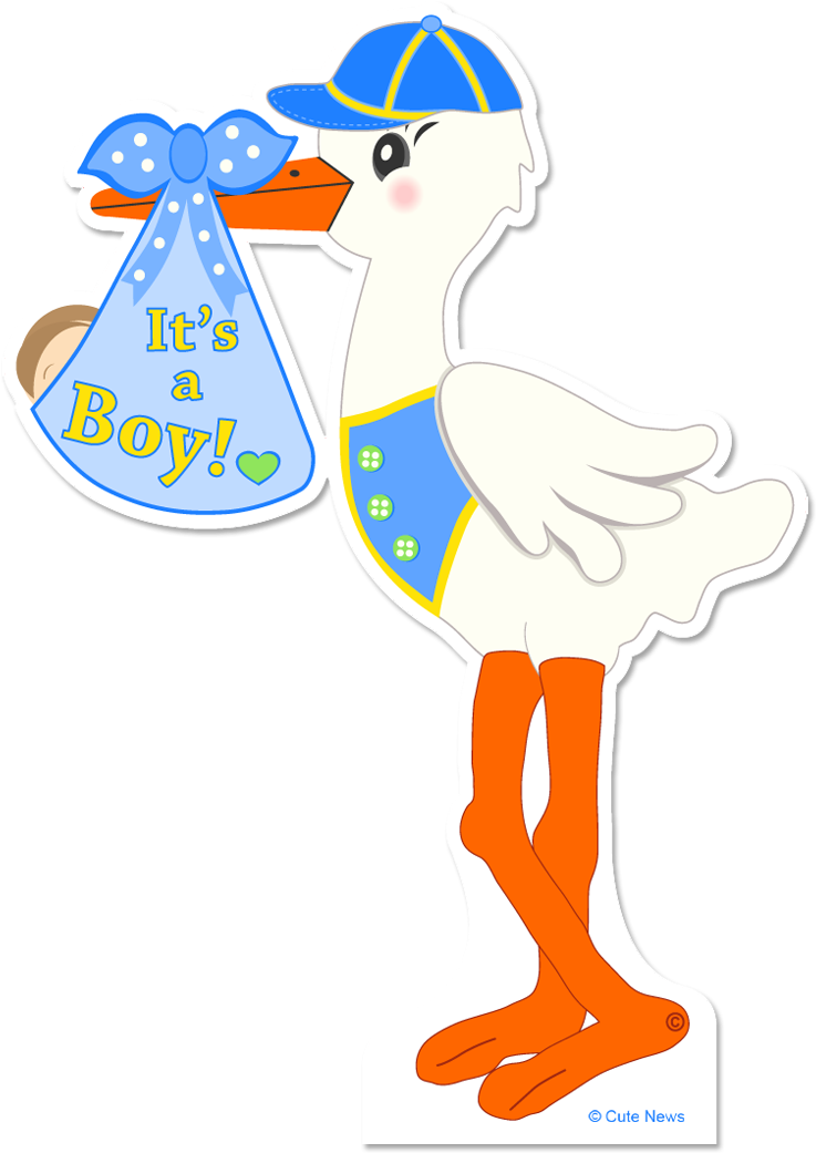 Stork Clipart Standing - Its A Boy Stork - Png Download (1039x1047), Png Download