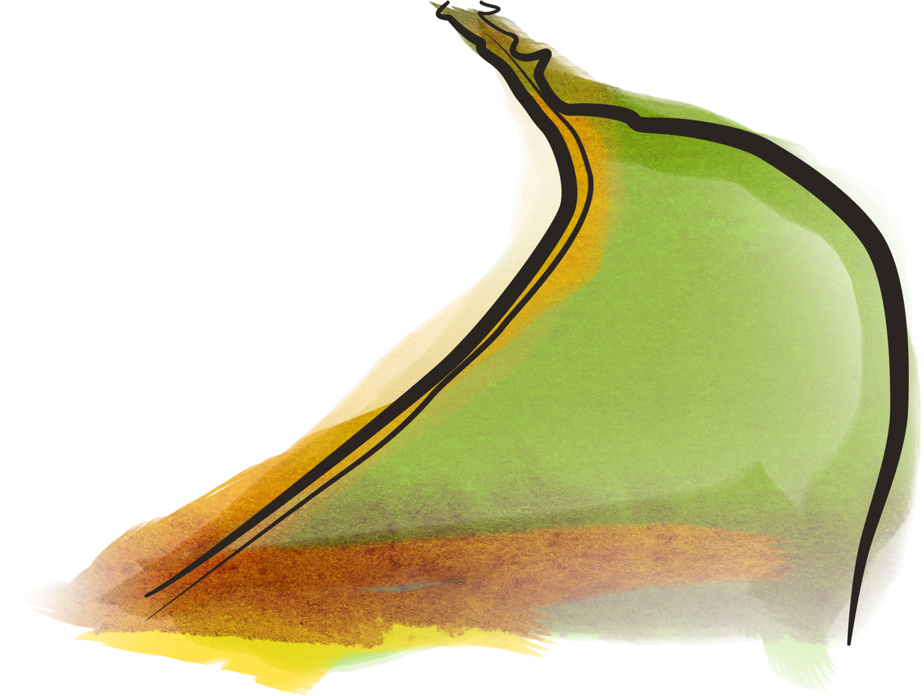 Between Pamban Island, India And Manner Island, Sri - Legume Clipart (2577x1584), Png Download