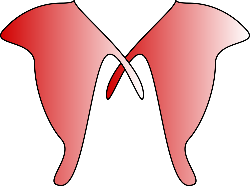 Corsage 2 Clipart Icon Png - Clip Art Transparent Png (800x593), Png Download