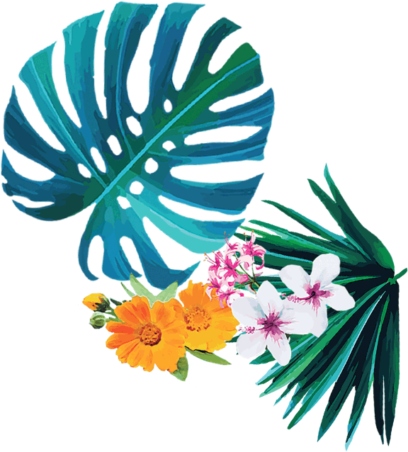 Flowers Bottom Leaf Edge Leaf Green Flowers Left - Brisbane Clipart (580x644), Png Download