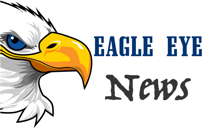 Bald Eagle Clipart Eagle Eye - Bald Eagle Head Cartoon - Png Download (710x436), Png Download