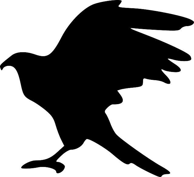 Hawk Silhouette Png Clipart (600x546), Png Download
