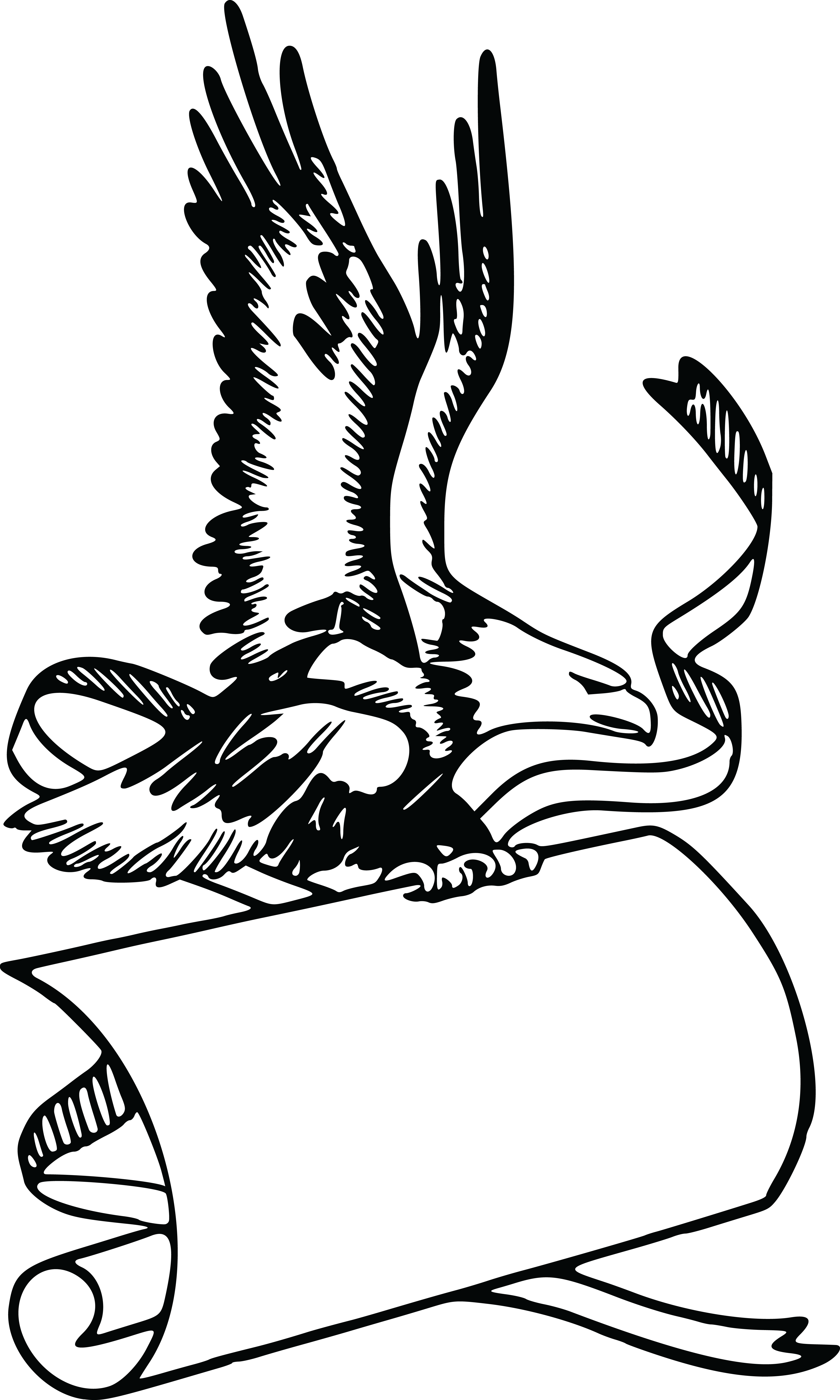 Free Clipart Of A Banner And Bald Eagle - Eagle Banner - Png Download (4000x6666), Png Download