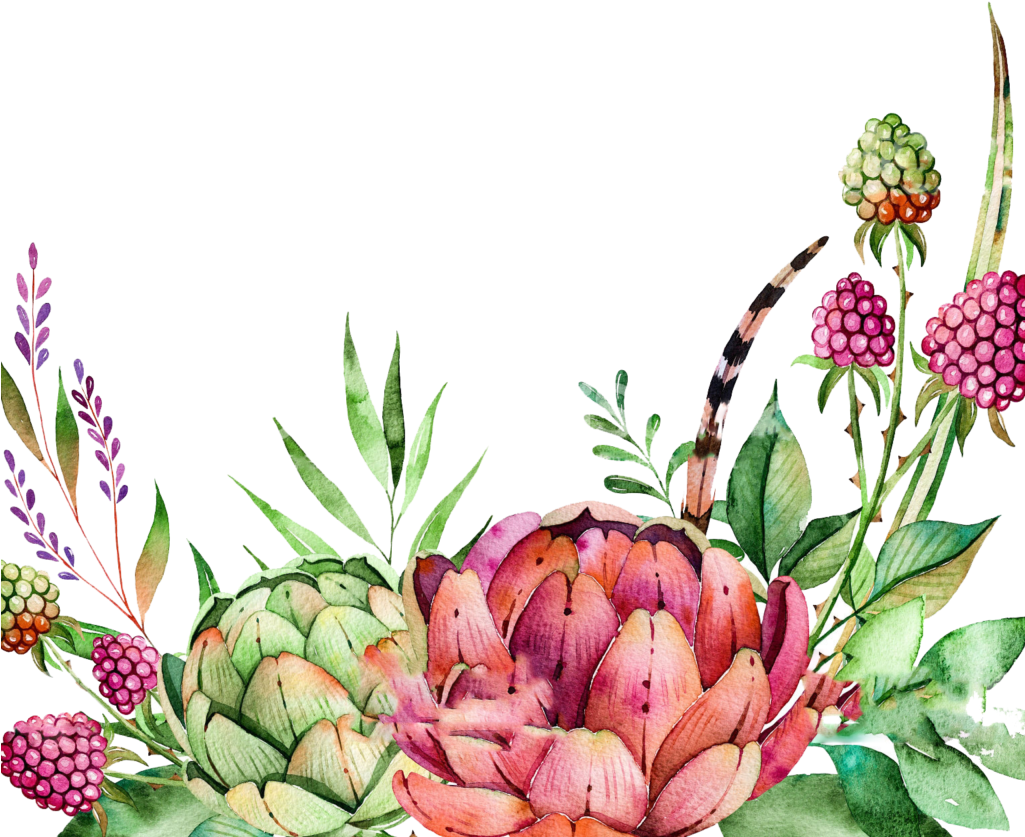 Free Watercolor Crane Pattern Png - Colorful Succulents Watercolor Border Clipart (1024x872), Png Download