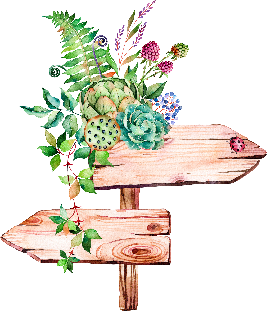 Leaves Leave Nature Watercolors Watercolor Watercolours - Watercolor Succulents Clipart Png Transparent Png (1024x1186), Png Download