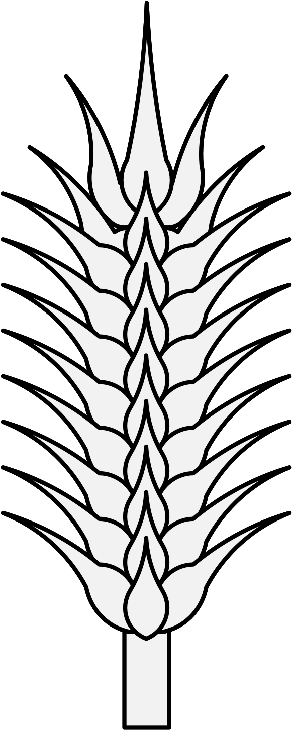 Pdf - Sketch Clipart (654x1474), Png Download