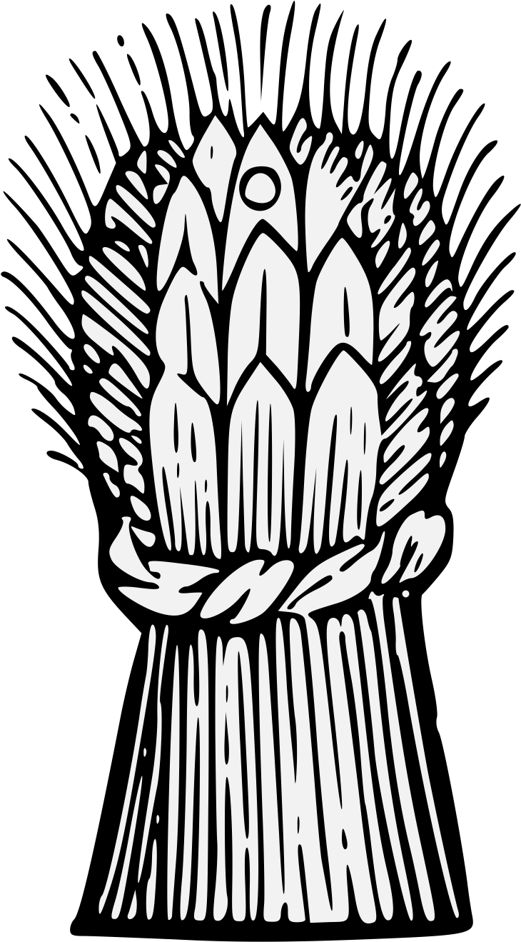 Pdf - Wheat Clipart (766x1331), Png Download