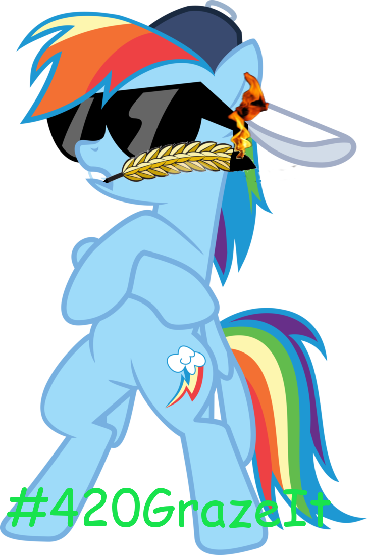 Uploaded - My Little Pony Rainbow Dash Swag Clipart (727x1099), Png Download