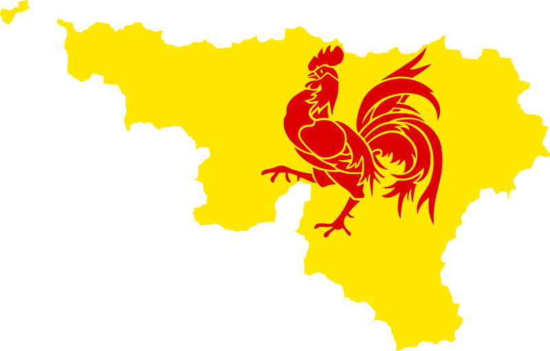 Flag Map Of The Region Of Wallonia - Wallonia Flag Map Clipart (800x511), Png Download