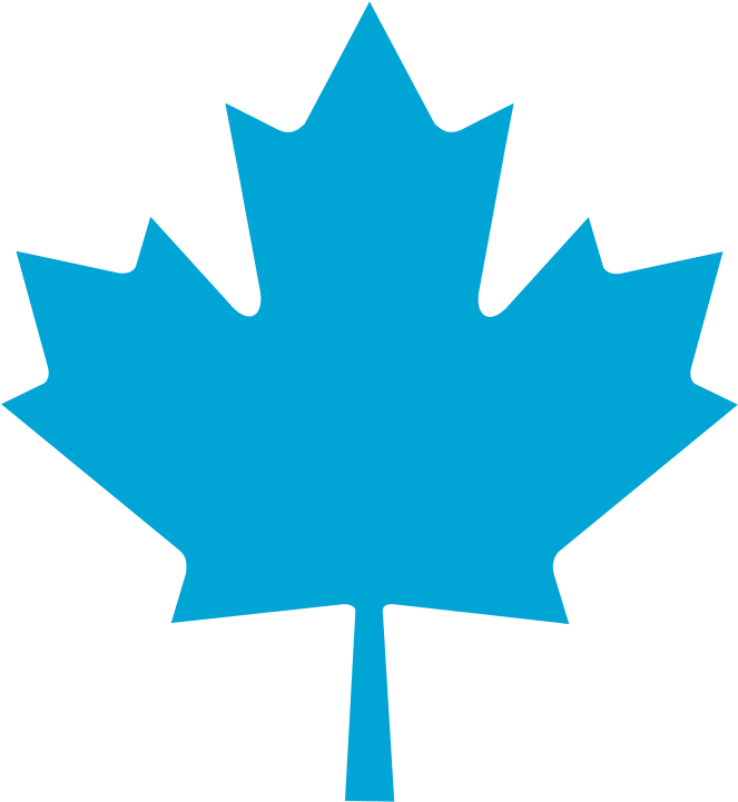 Bq Maple Leaf - Canada Day 151 Years Clipart (768x768), Png Download