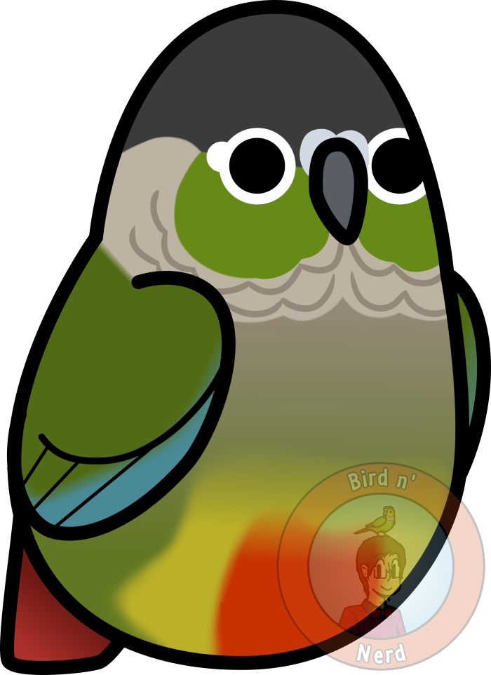 Download Too Many Birds Cheeked By Maddemichael On - Green Cheek Conure