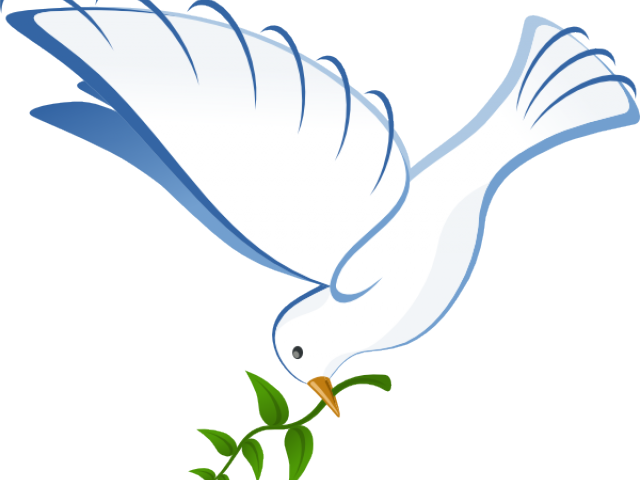 White Dove Clipart In Flight - White Dove - Png Download (640x480), Png Download